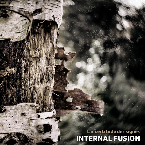 Internal Fusion – L’Incertitude des signes